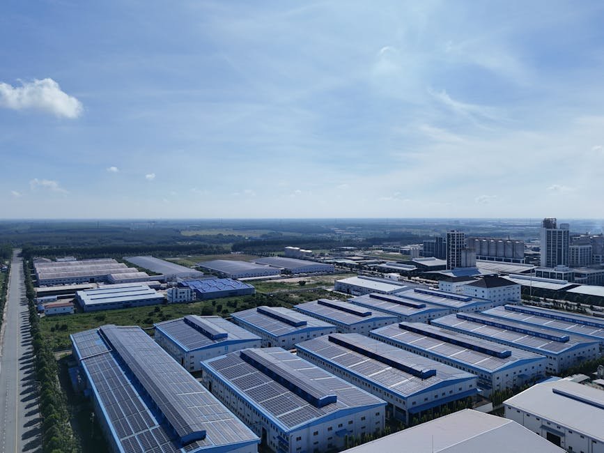 Unlock Joy: The Surprising Power of My Pauliewaulieflimflam Philosophy